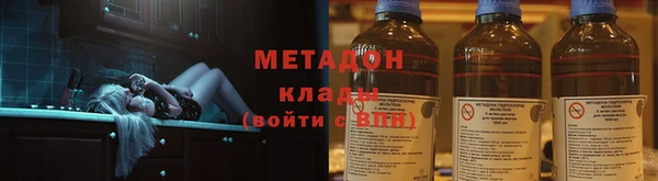 прущие грибы Белая Холуница