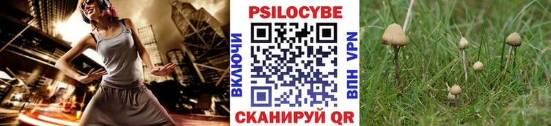 Псилоцибиновые грибы Psilocybine cubensis  ОМГ ОМГ ссылки  Партизанск 