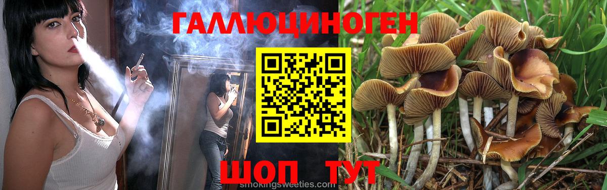 Псилоцибиновые грибы Psilocybe  Вход с VPN  Партизанск  Галлюциногенные грибы Psilocybine cubensis 